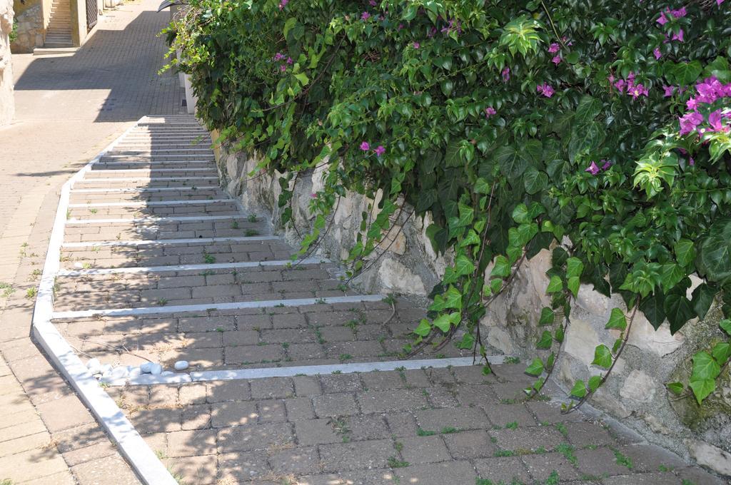 Bed & Breakfast Giardini Di Marzo Lecce Dış mekan fotoğraf